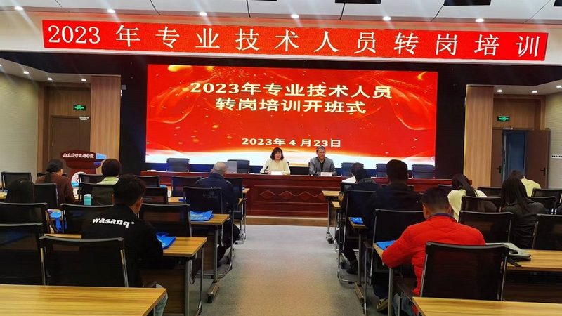 人力资源管理师资格证培训：如何高效提升职业技能**